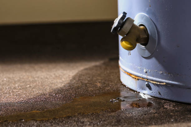 Best Flood restoration services  in White Sands, NM