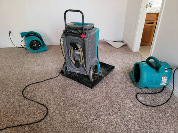 Best Carpet water damage restoration  in White Sands, NM