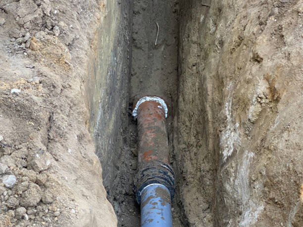 Best Flood restoration services  in White Sands, NM