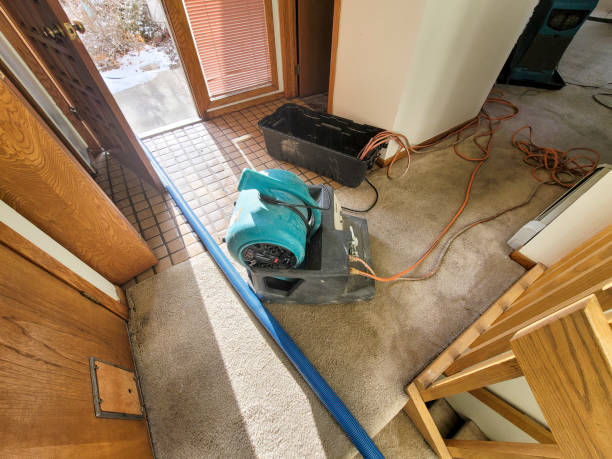 Best Local water damage restoration  in White Sands, NM