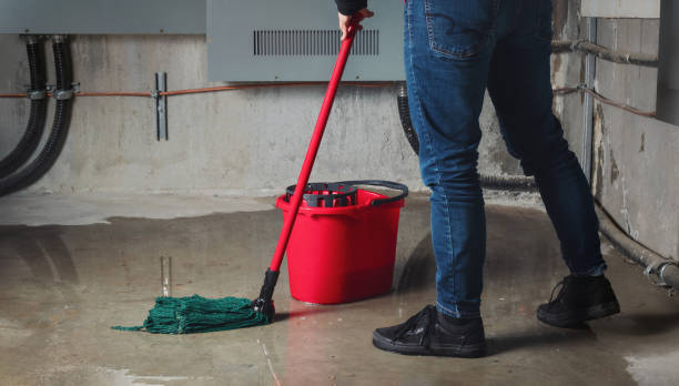 Best Mold removal after water damage  in White Sands, NM