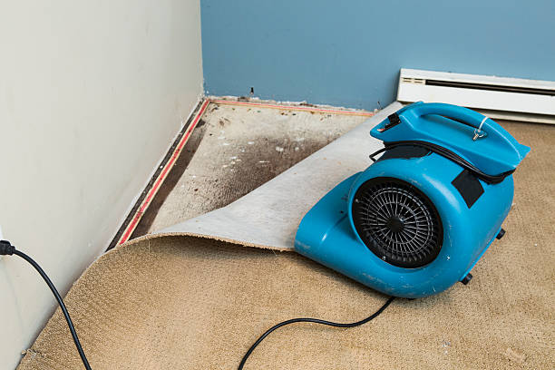 Best Flooded house restoration  in White Sands, NM